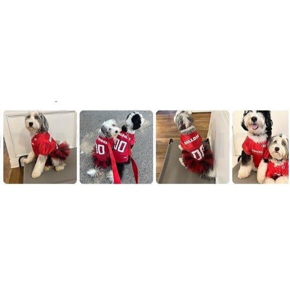 Pets - OFFICIAL Pittsburgh Steelers Shirt, Stretch shirt-size Small - Picture 6 of 7